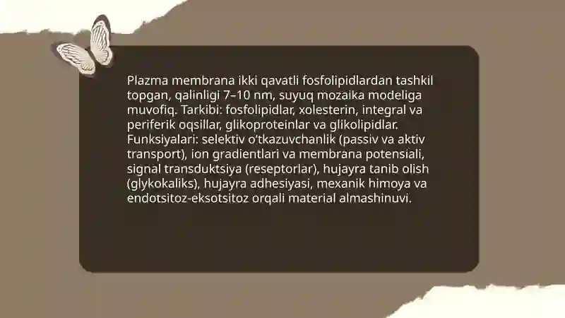 Hujayra nazariya hujayra tuzilishi hayvon va odam xromasomalar o'rtasida morfofunksional xarakteristikasi 4