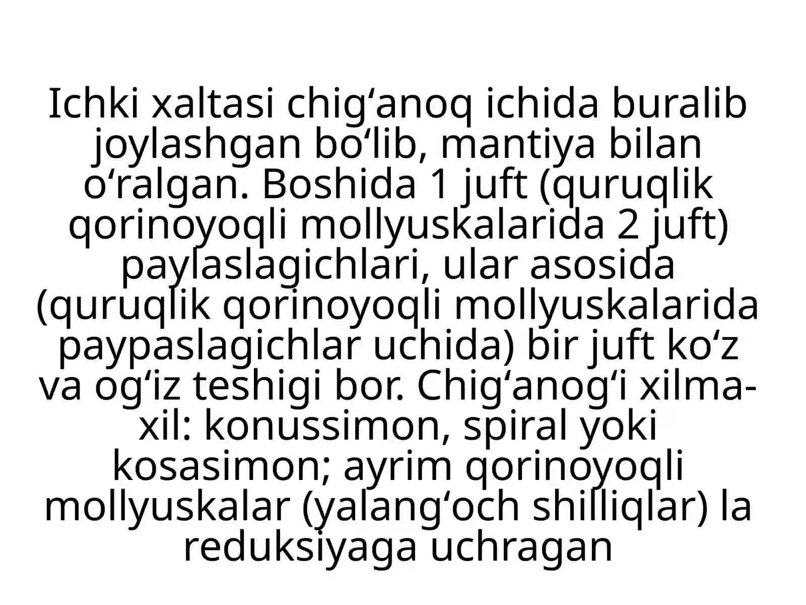 Qorinoyoqlimollyuskalar sinfi 4
