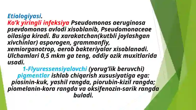 Ko’k yiringli infeksiyasi 4