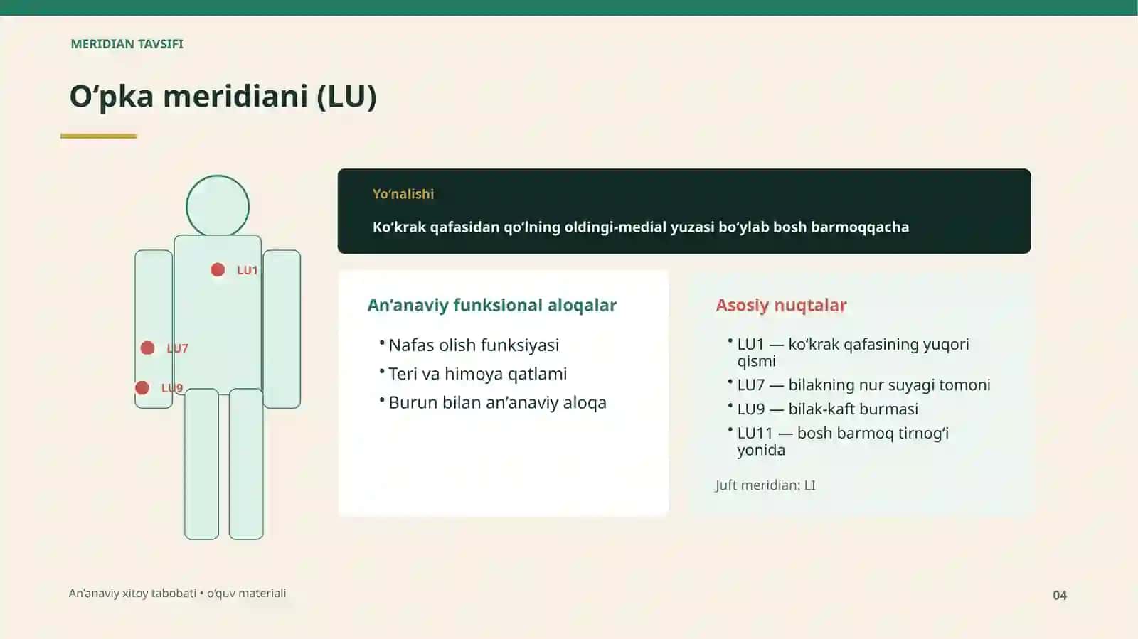 An’anaviy xitoy tabobatining 12 asosiy meridiani 4