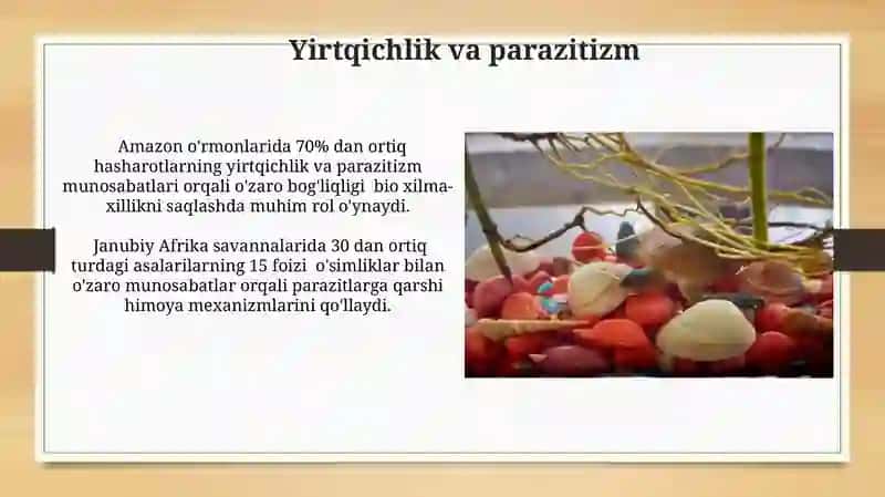 Qoplamalar dunyosi orasida organizmlarning ozaro munosabatlari va ularning tarqalishini o'rganish 4