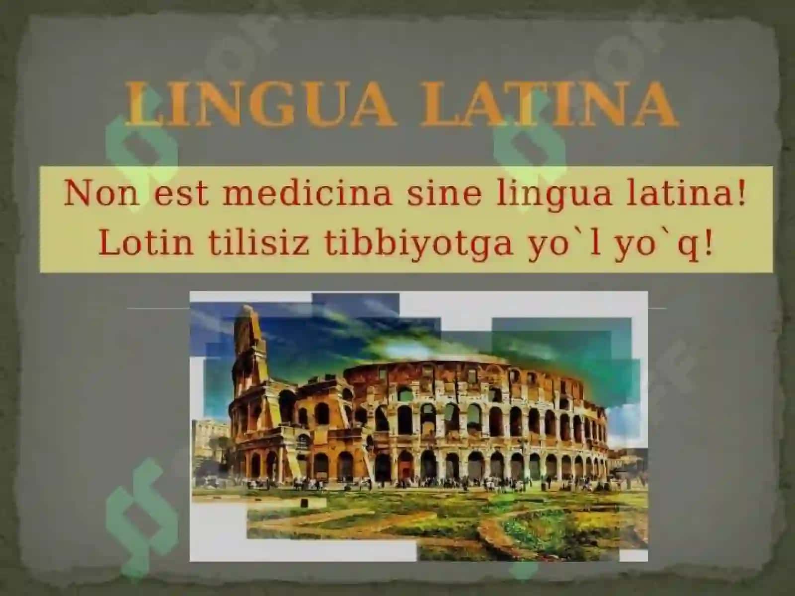 LOTIN TILI VA TERMINOLOGIYA 4