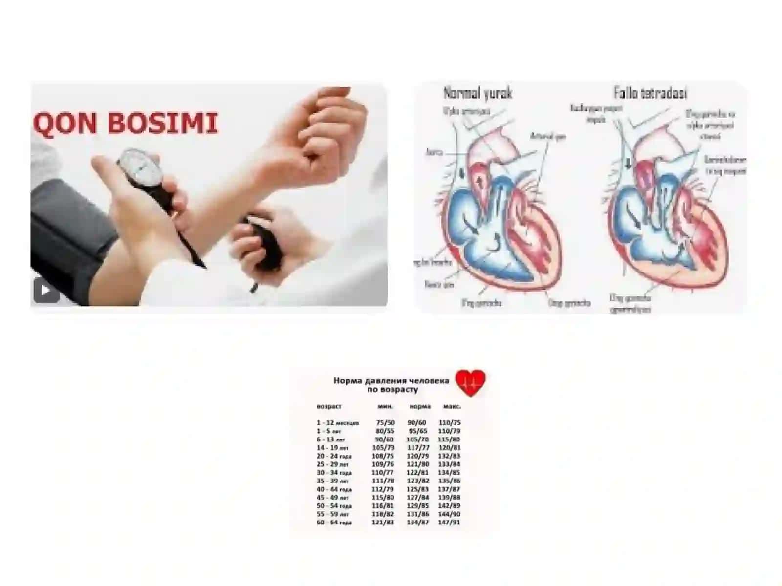 Normal Fizologiya. Arterial Qon Bosimi va Periferik Pulsni Tibbiyotdagi Ahamiyati 4