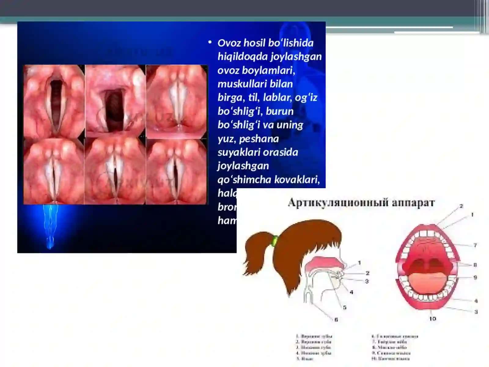 Ovozpaydobolish mexanizmi 4