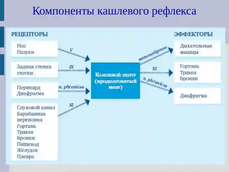 Кашель у детей 4