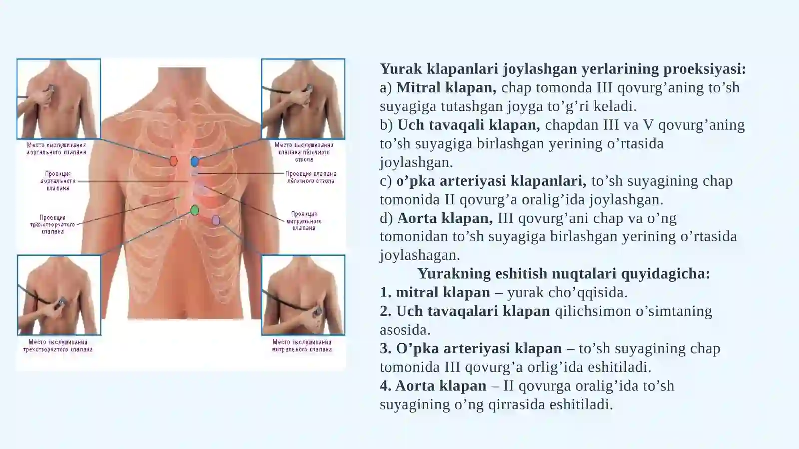 Yurak 4