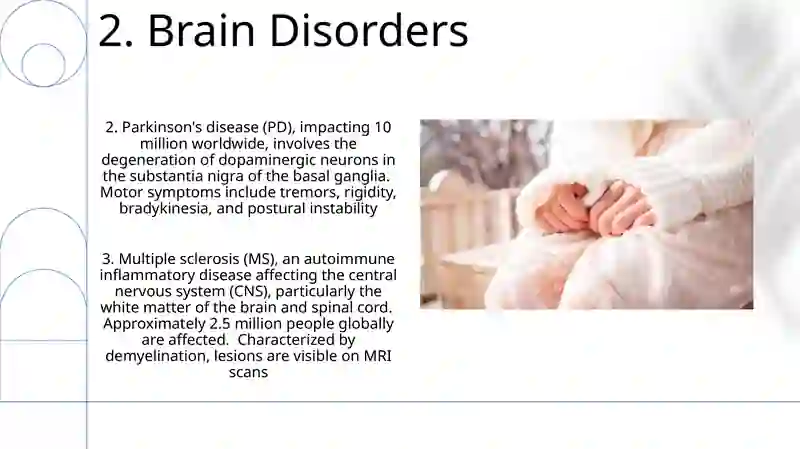 Brain and nervous system 4