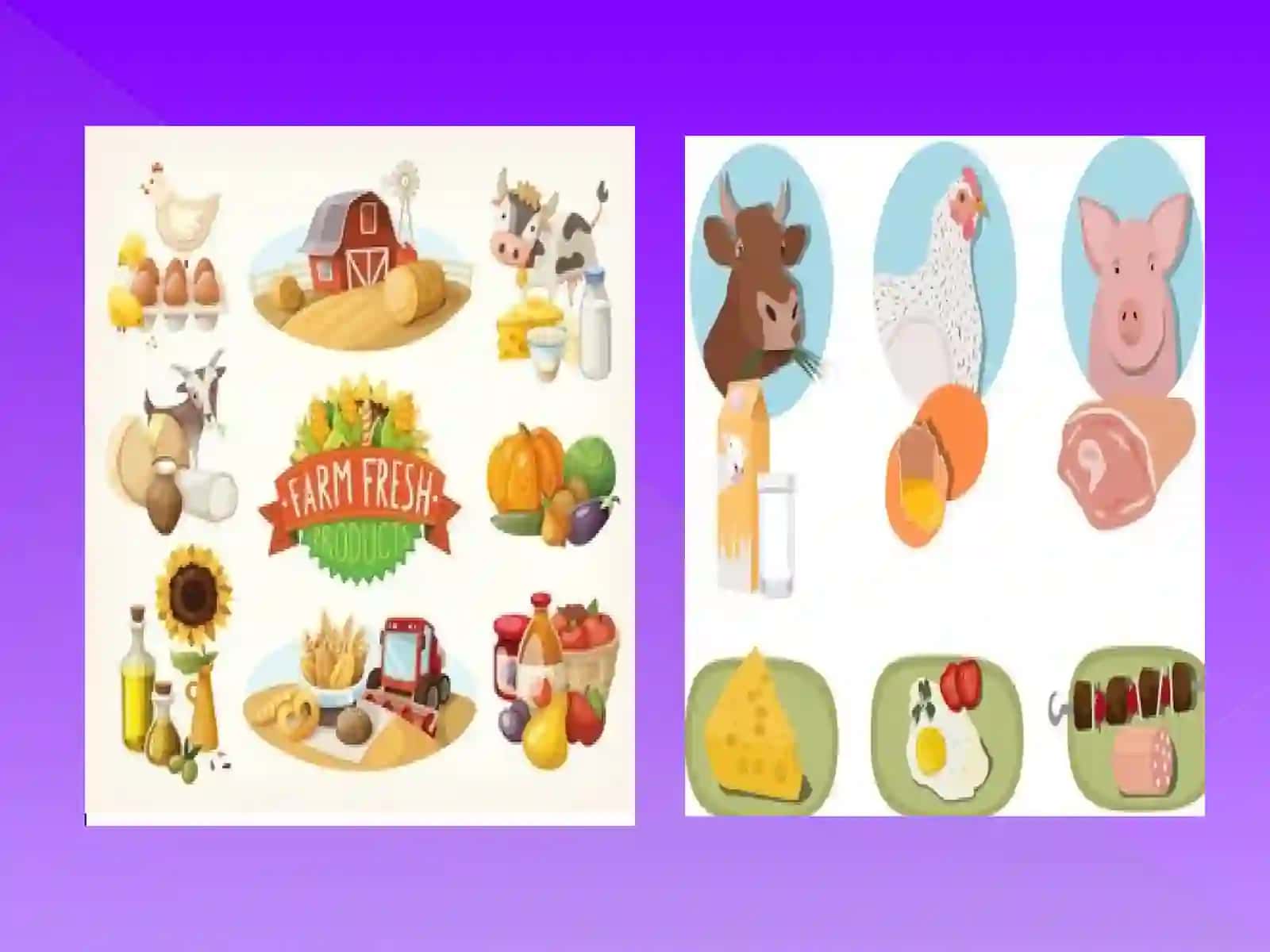 Animalproducts 4