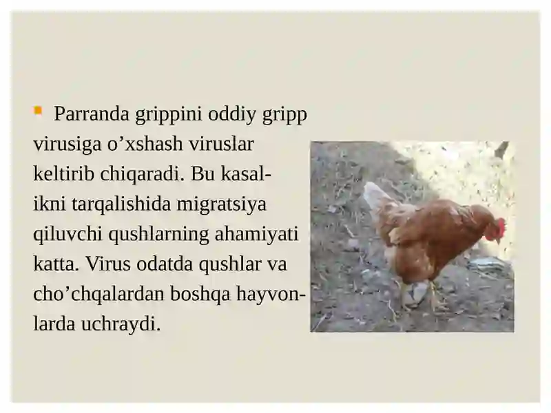Parranda grippi 4