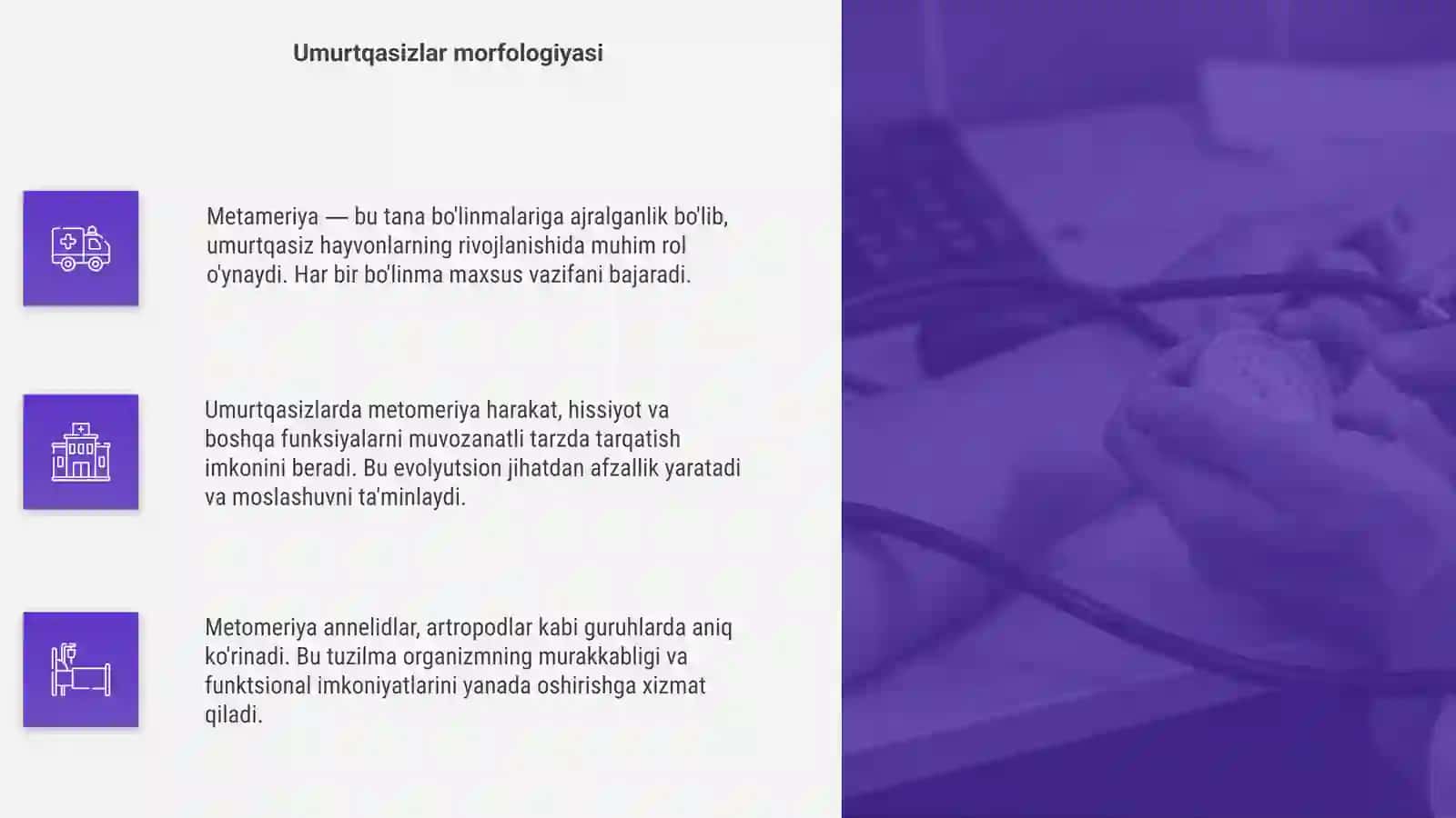 Umurtqasiz hayvonlarda metomeriya mohiyati 4