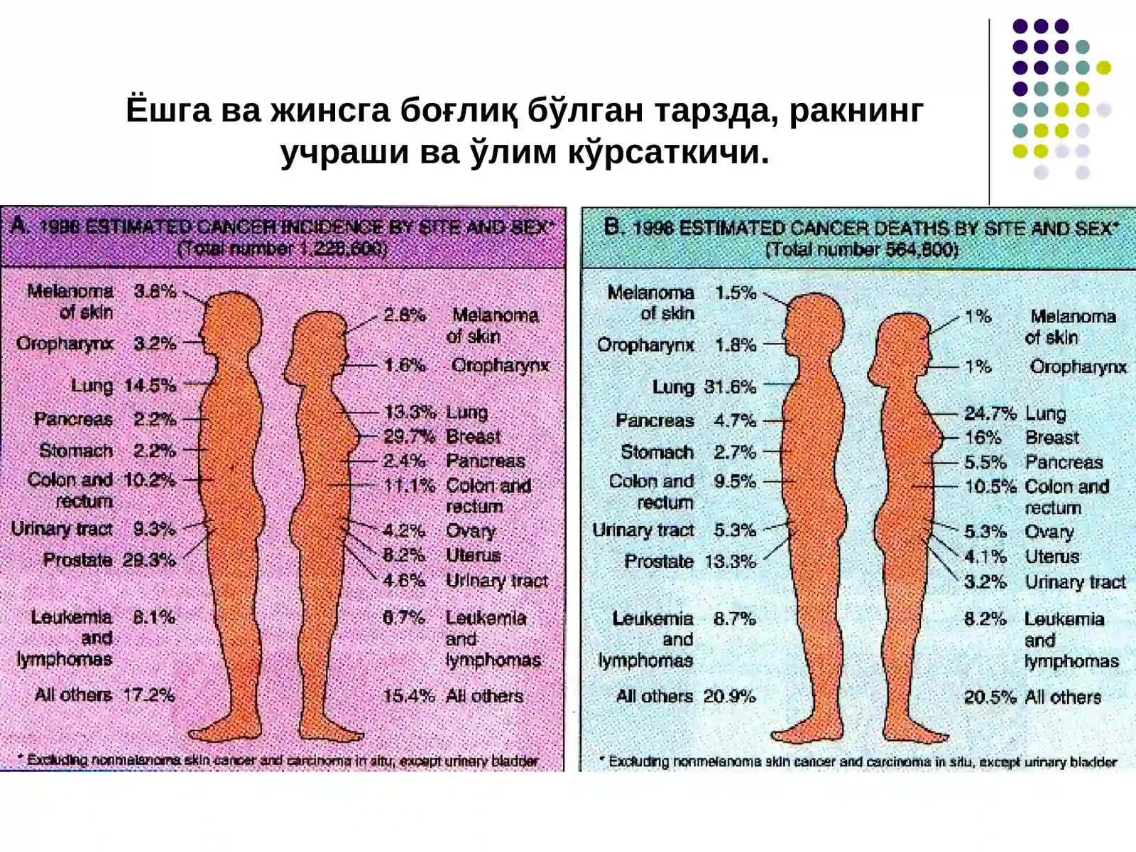 ЎСМАЛАР O'smalar 4