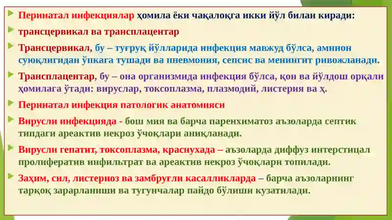 Preview 4
