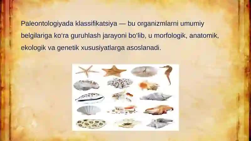 Paleontologiyada klassifikatsiya, sistematika va nomenklatura 4