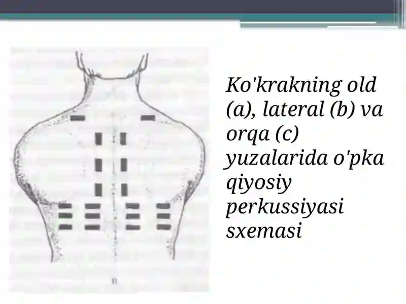 O’pka perkussiyasi 4