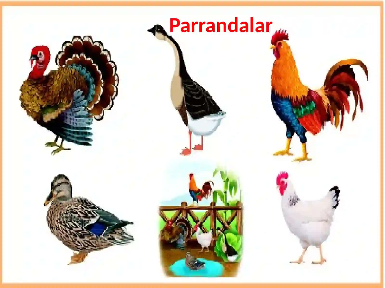 4-sinf Matematika fanidan Tо'plamlar. Eyler-Veyen diagrammasi dars taqdimot 4