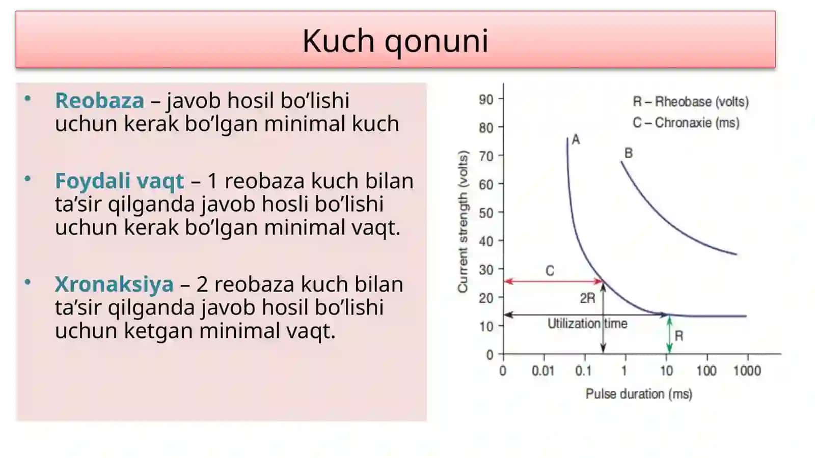 Nervtolasi 4