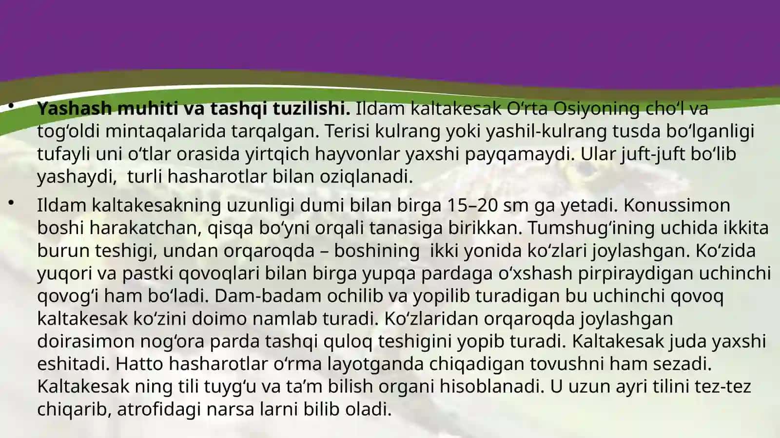 Ildam kaltakesakning tuzilishi, ko‘payishi va rojlanishi 4