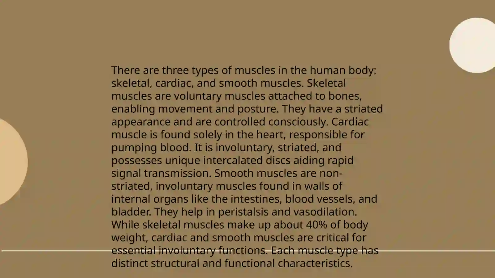 The Muscles 4