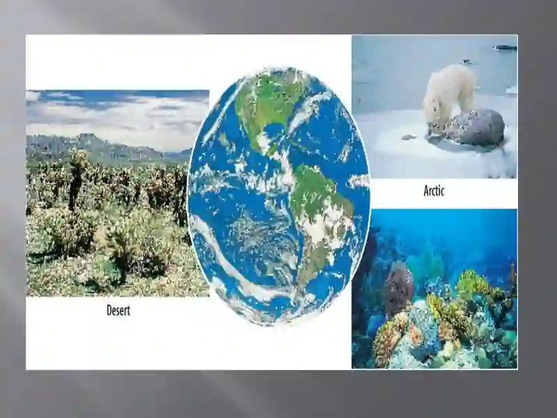 Biosfera 4