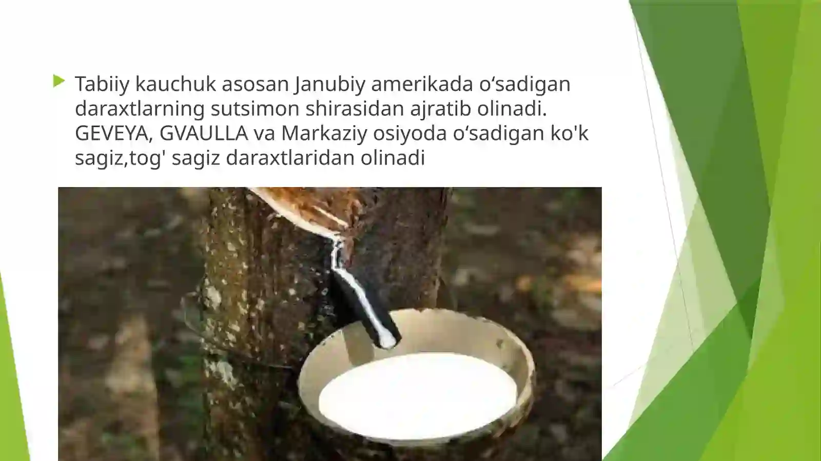 Diyen uglevodorodlari. Kauchuklar 4