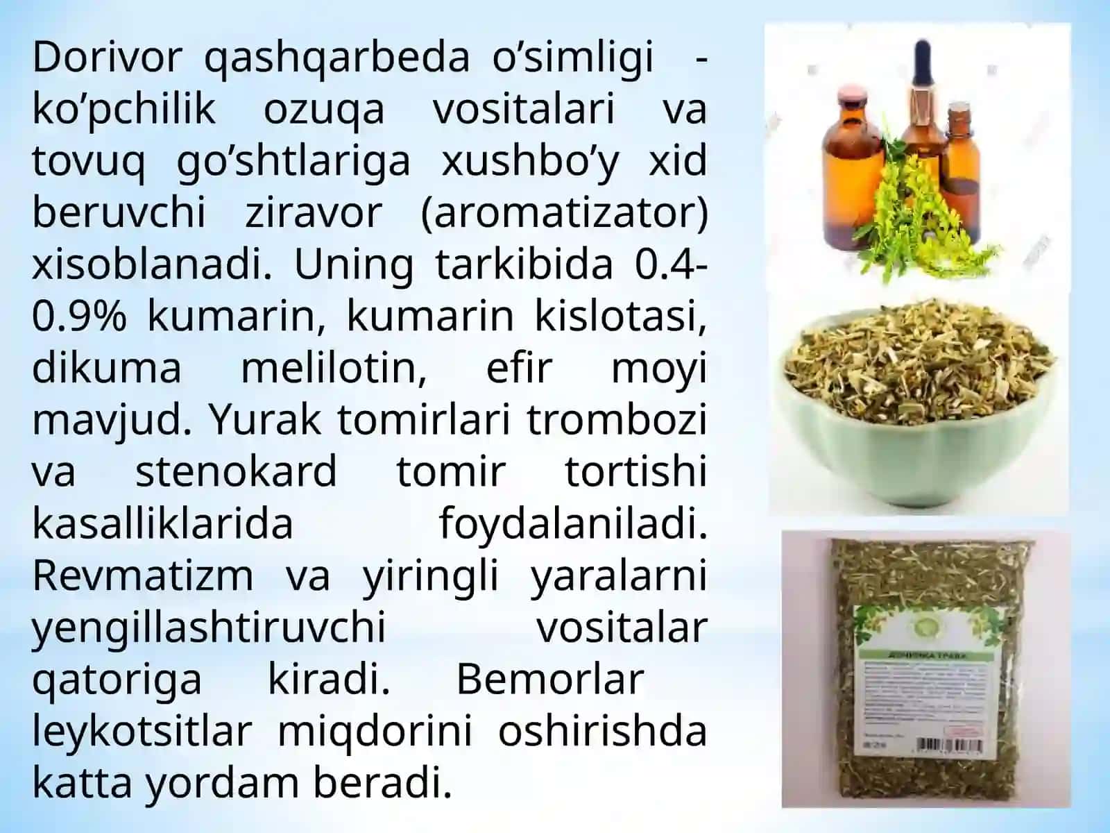 IKKI YILLIK DORIVOR O‘SIMLIKLARNI YETISHTIRISH TEXNOLOGIYASI 4