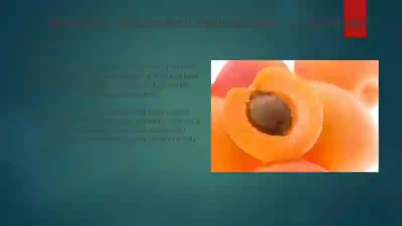 O'zbekistonda yetishtiriladigan o'rikni navlariga tasnif bering 4