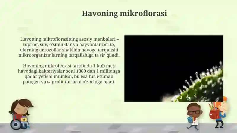 Mikroorganizmlar ekologiyasi. Suv, havo, tuproq mikroflorasi 4