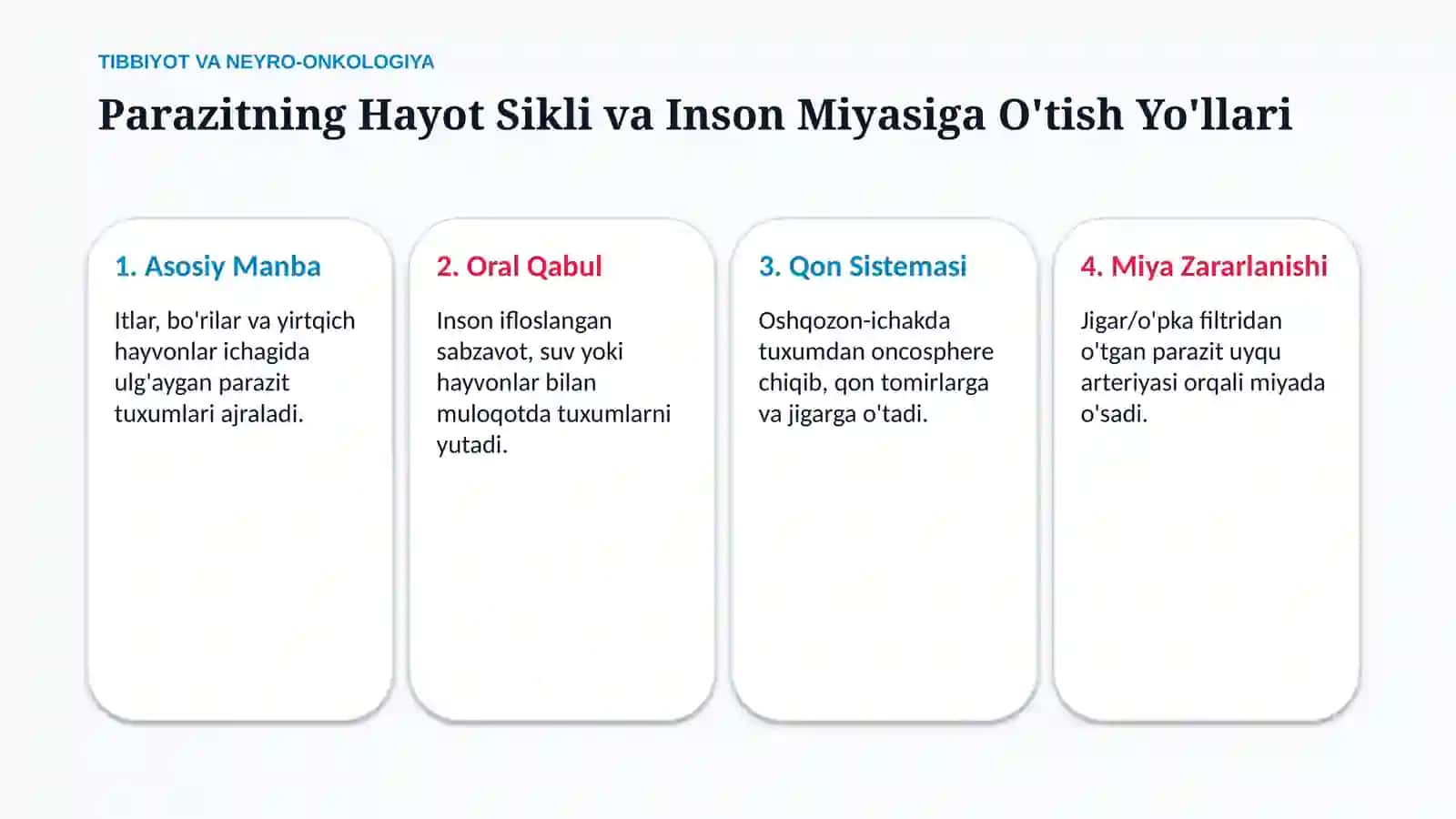 Bosh miya exinokokkozi — 15 slaydli tayyor taqdimot 4