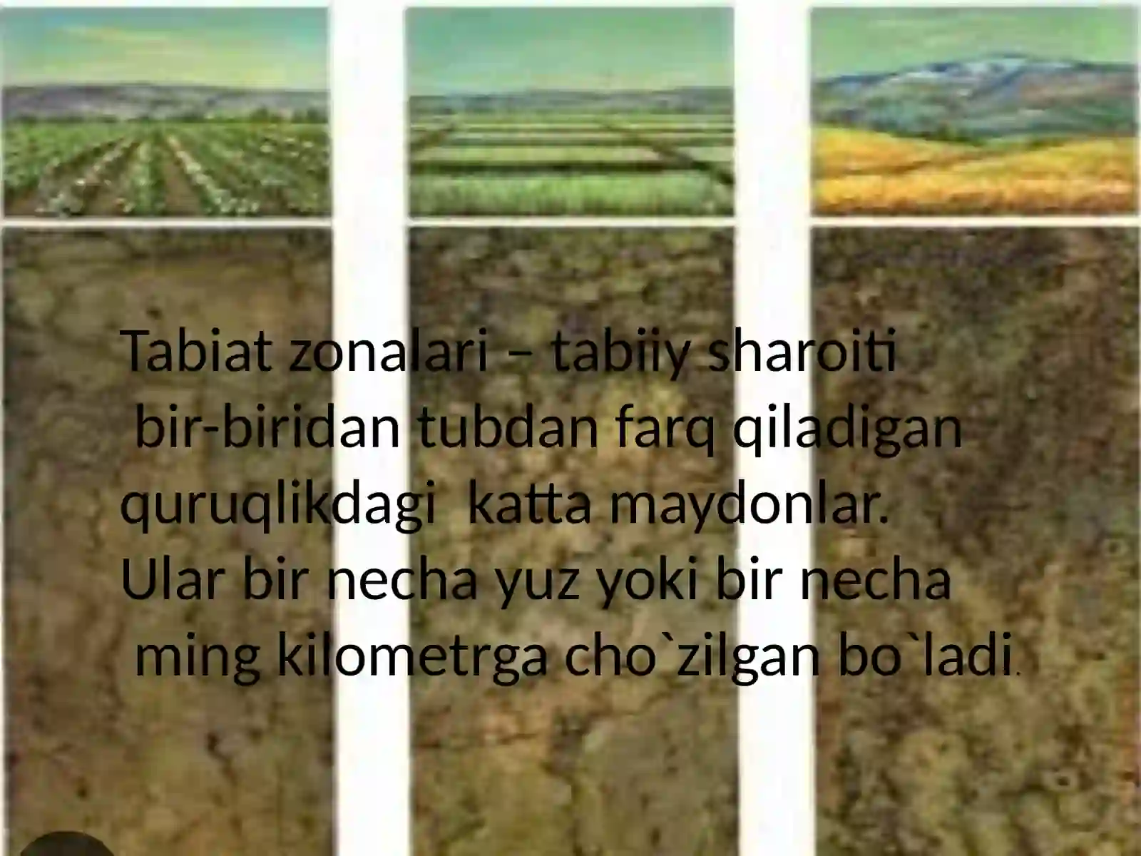 Tabiat zonalari 4