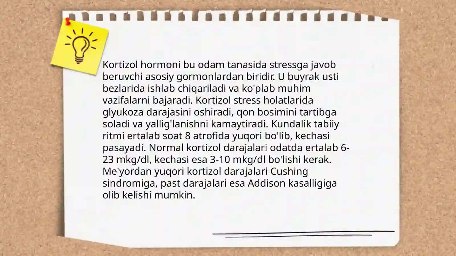 Buyrak usti bezi gormonlari 4