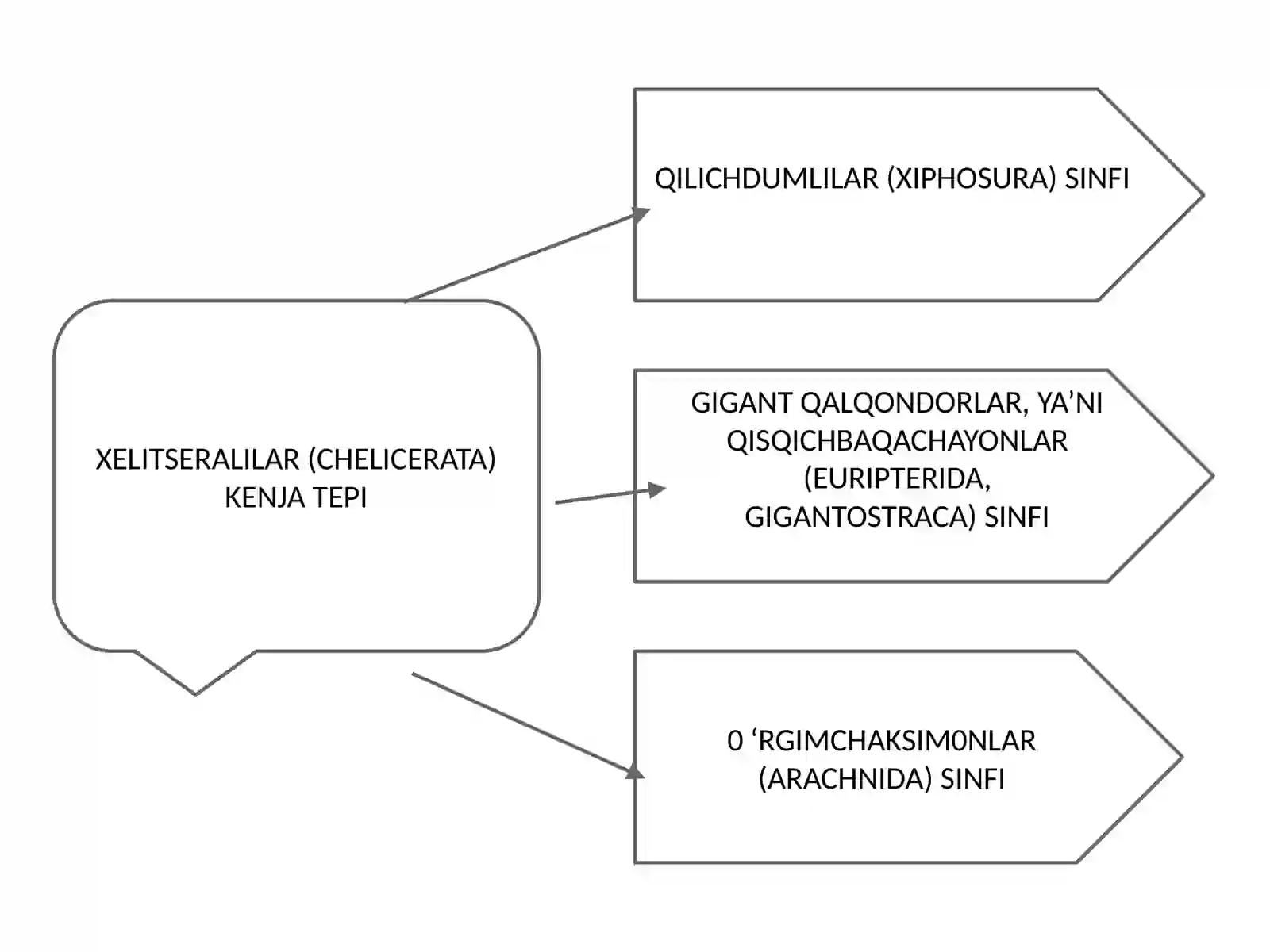 XELITSERALILAR (CHELICERATA)kenjatipi 4
