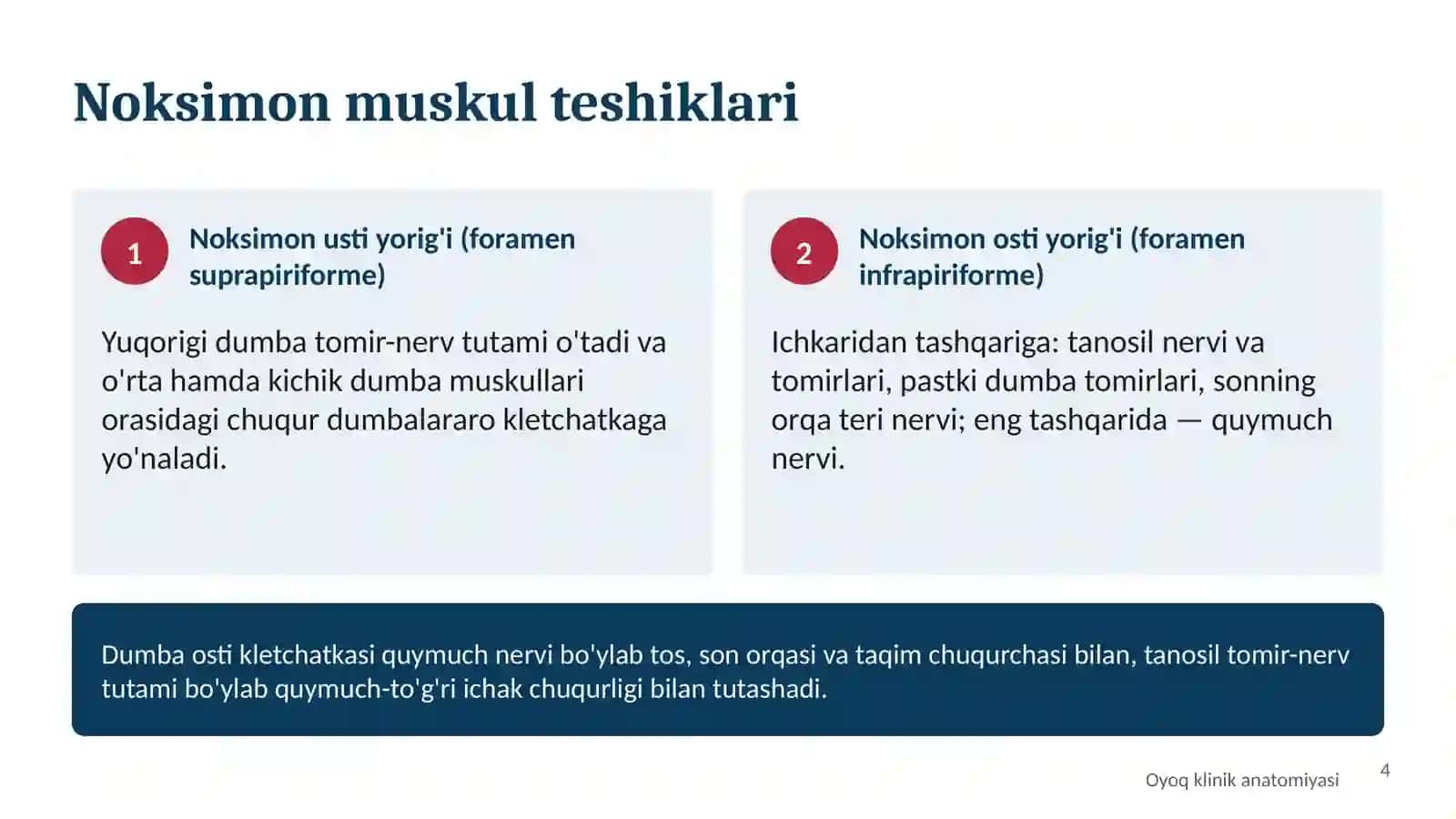 OYOQNING KLINIK ANATOMIYASI 4