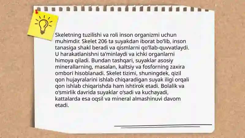 Motivning tuzilishi va funiksiyalari 4