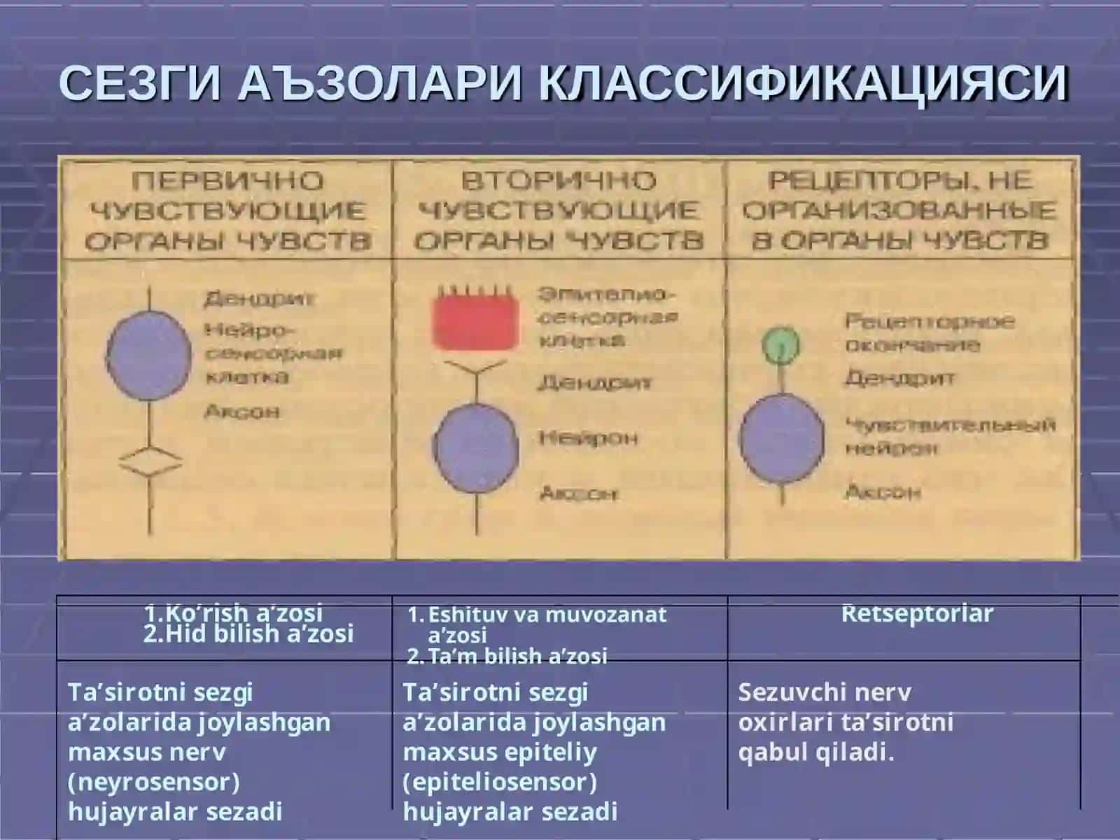 SEZGIА’ZOLАRI 4