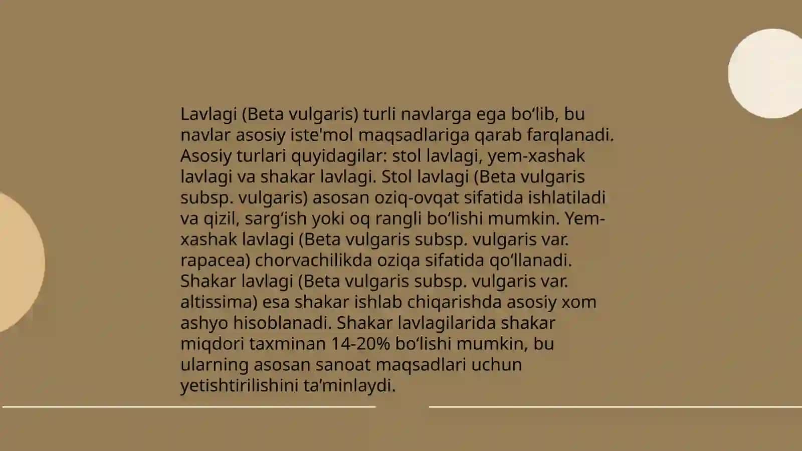 Qand lavlagini qayta ishlash texnologiyasi 4