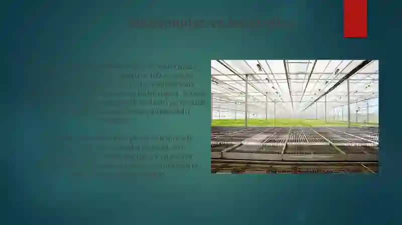 Agrosanoat majmuasining tashkiliy tuzilmasi 4