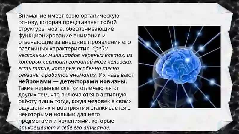 Общая характеристика внимания. Виды и свойства внимания 4