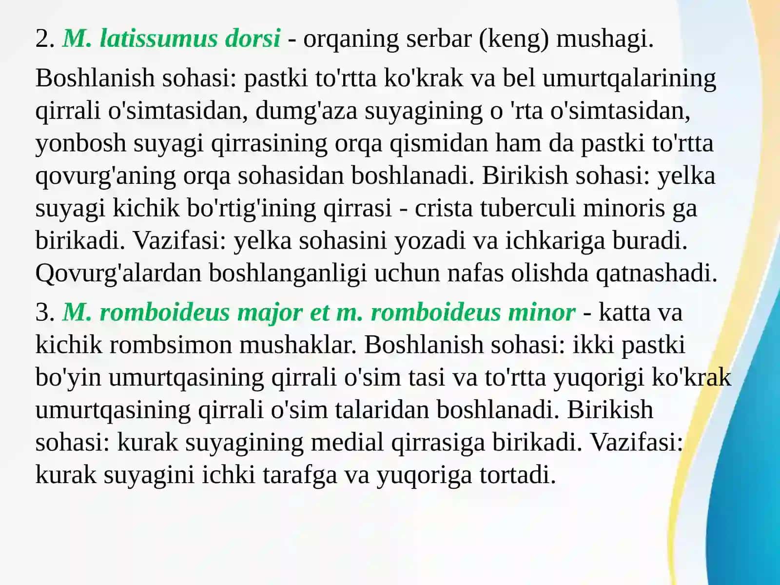 Orqaguruh mushaklari. Orqaning yuz mushaklari 4