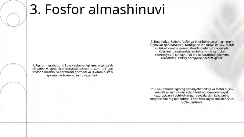 Buyrakda Kalsiy, Fosfor Va Bikarbonatlar Almashinuvi 4