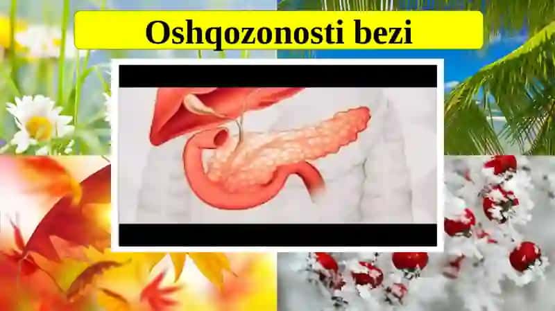 Oshqozonostibezi, Jinsiybezlar, Sekretsiyabezlarifunksiyasiningboshqarilishi 4