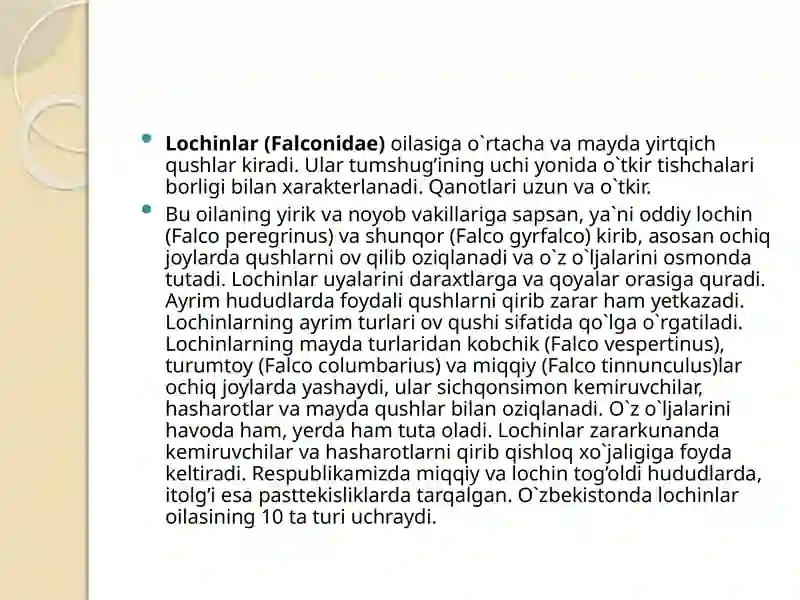 Qushlarsinfining O'zbekiston datarqalgan turlari (1-qism) 4