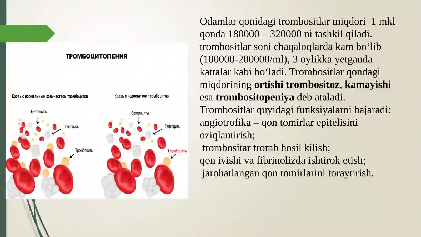 Trombotsitlar.Qonguruxlari.Rezusfactor 4