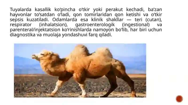 Tuyalar va odamlar o‘lat kasalligining laboratoriya diagnostikasi 4