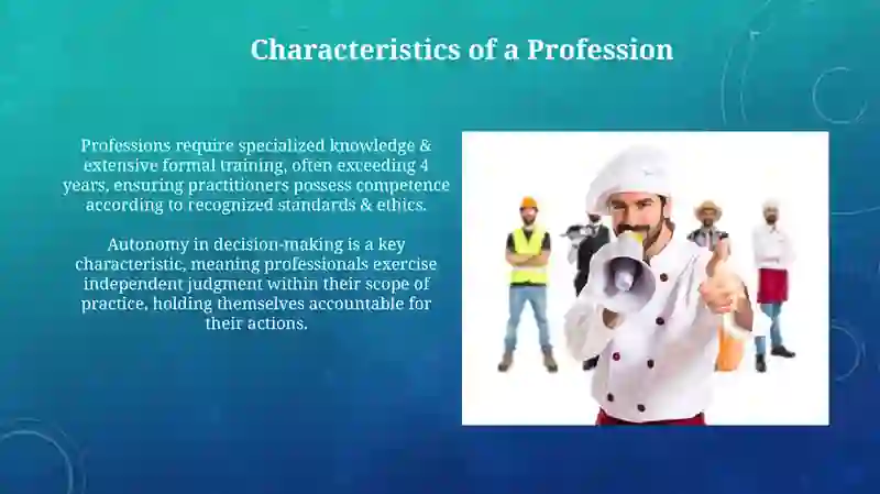Presentation on Profession 4