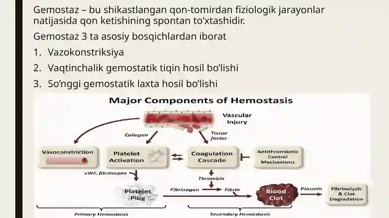Gemostaz vafibrinoliz 4