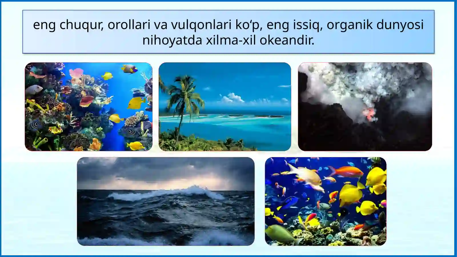 Tinch Okean 4