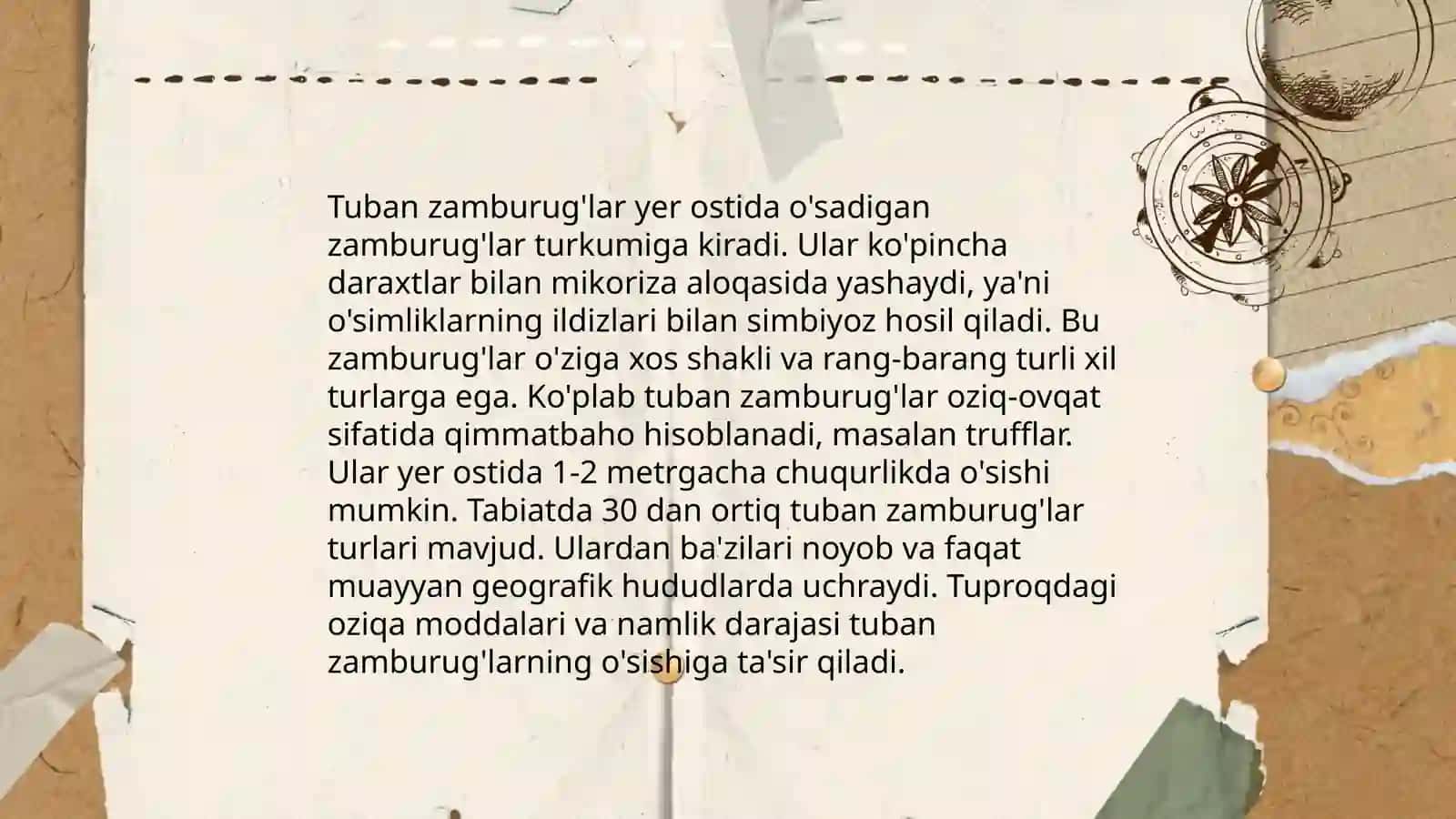 Zamburug' toifalilar.Tuban va yuksak zamburug'lar 4