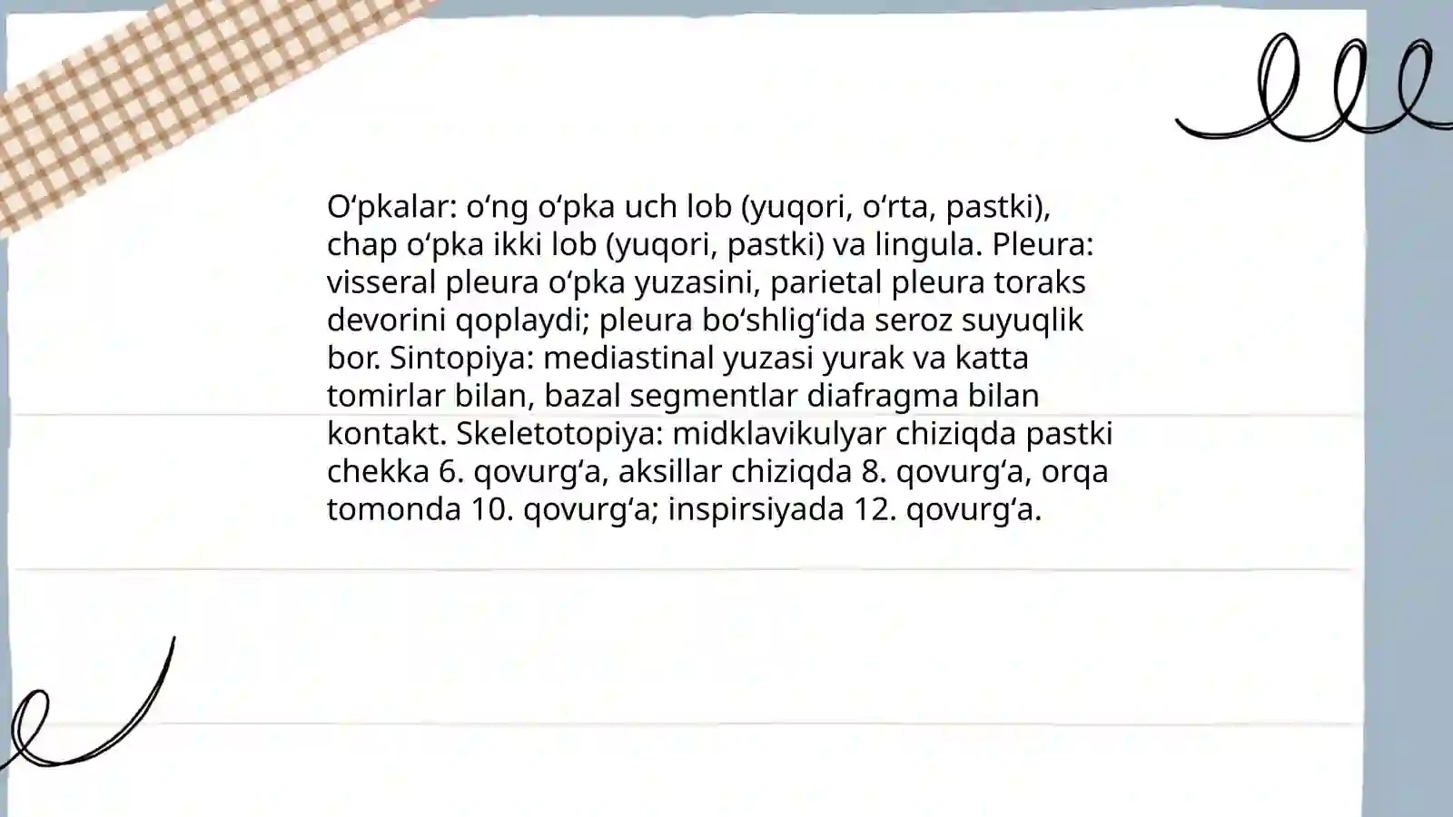 Odam ichki organlar tuzilishi va ularning sintopiyasi, skeletotopiyasi 4