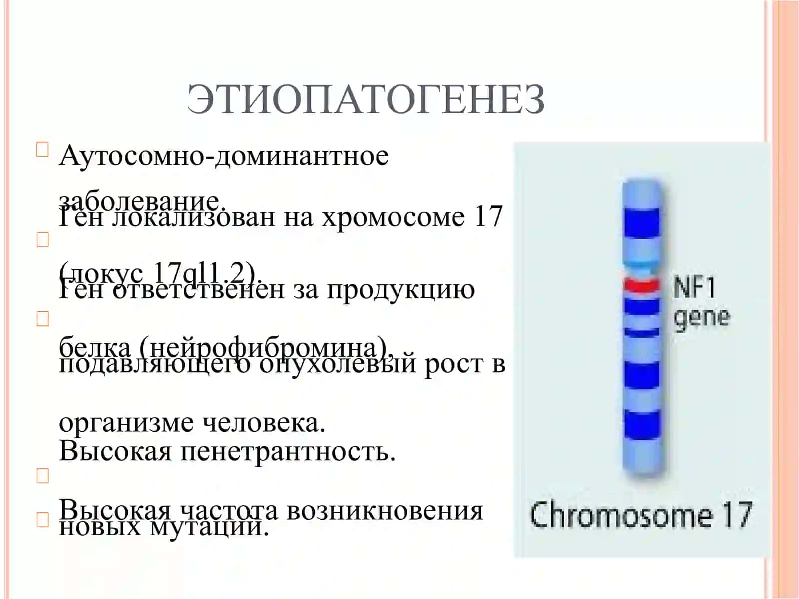 Нейрофиброматоз 1го типа 4