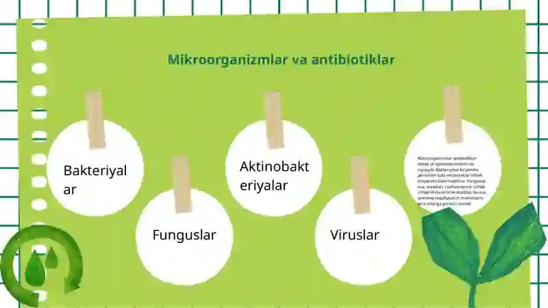 Antibiotiklar ishlab chiqarish biotexnologiyasi 4